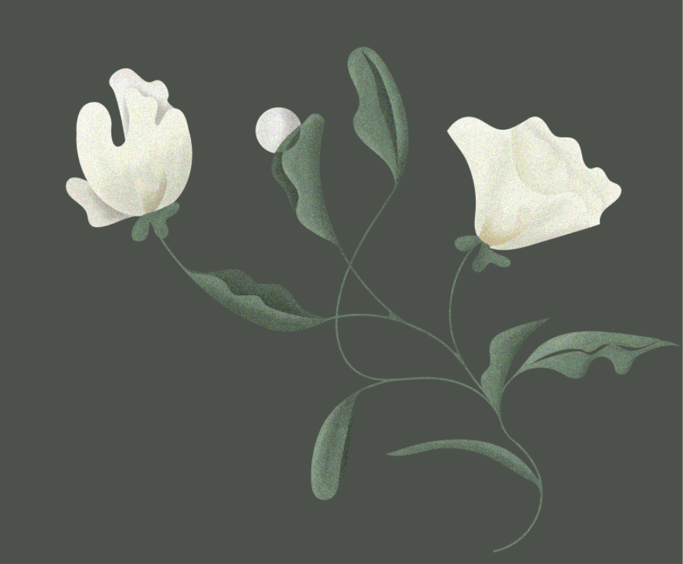 MERAVIA Tulum : Concept