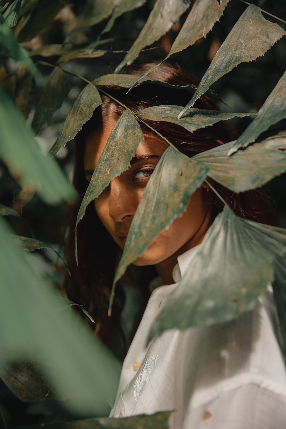 MERAVIA Tulum : Home